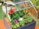 Canopia by Palram Plant Inn 4 ft. x 4 ft. Greenhouse Kit - Silver Structure & Clear Panels - Image 9