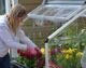 Canopia by Palram Plant Inn 4 ft. x 4 ft. Greenhouse Kit - Silver Structure & Clear Panels - Image 6