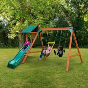 Swing-N-Slide Basic Swing Set with Slide