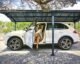 Canopia by Palram Arcadia 12 ft. x 28 ft. Carport Kit - Grey Structure & Twin Wall Panels - Image 6