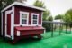 Regular 16 ft. Chicken Run (7'W x 16'L x 4'H) - Image 3