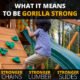 Gorilla Playsets Outing w/ Monkey Bars Swing Set - Image 3