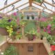 Yardistry 6.7′ x 7.8′ Meridian Greenhouse - Image 5