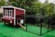 Regular 8 ft. Chicken Run (7'W x 8'L x 4'H) - Image 5