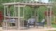 Yardistry Madison Pergola with Cedar Wood, Timber Gray Stain & Sunshade (10 ft. x 14 ft.) - Image 4