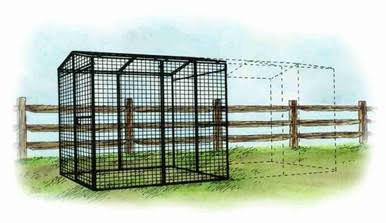 Walk-In 8 ft. Chicken Run (6’6″W x 7’6″L x 6’3″H) Walk-In 8 ft. Chicken Run (6’6″W x 7’6″L x 6’3″H)