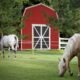 Handy Home DIY Hudson 12 ft. x 12 ft. Wooden Storage Shed with Flooring Included - Image 8